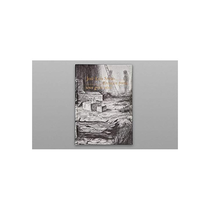 Ensayos Para Una Gran Obra [2 de diciembre de 2014 al 1 de marzo de 2015, Museo ABC] Catalogo exposición